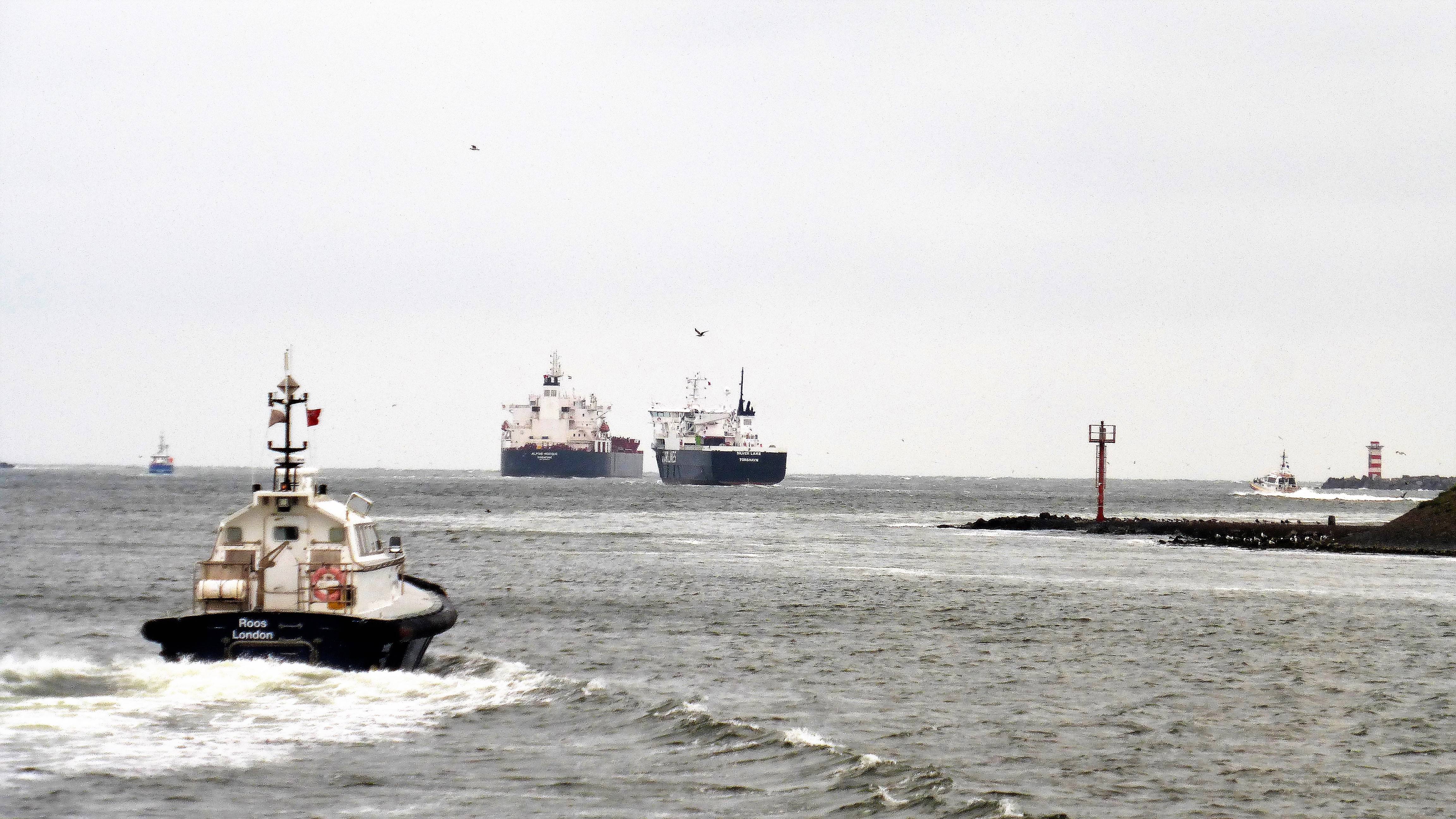 Pieren IJmuiden 16-08-18 